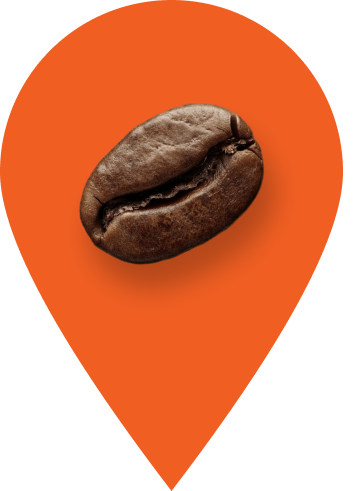 coffee grain