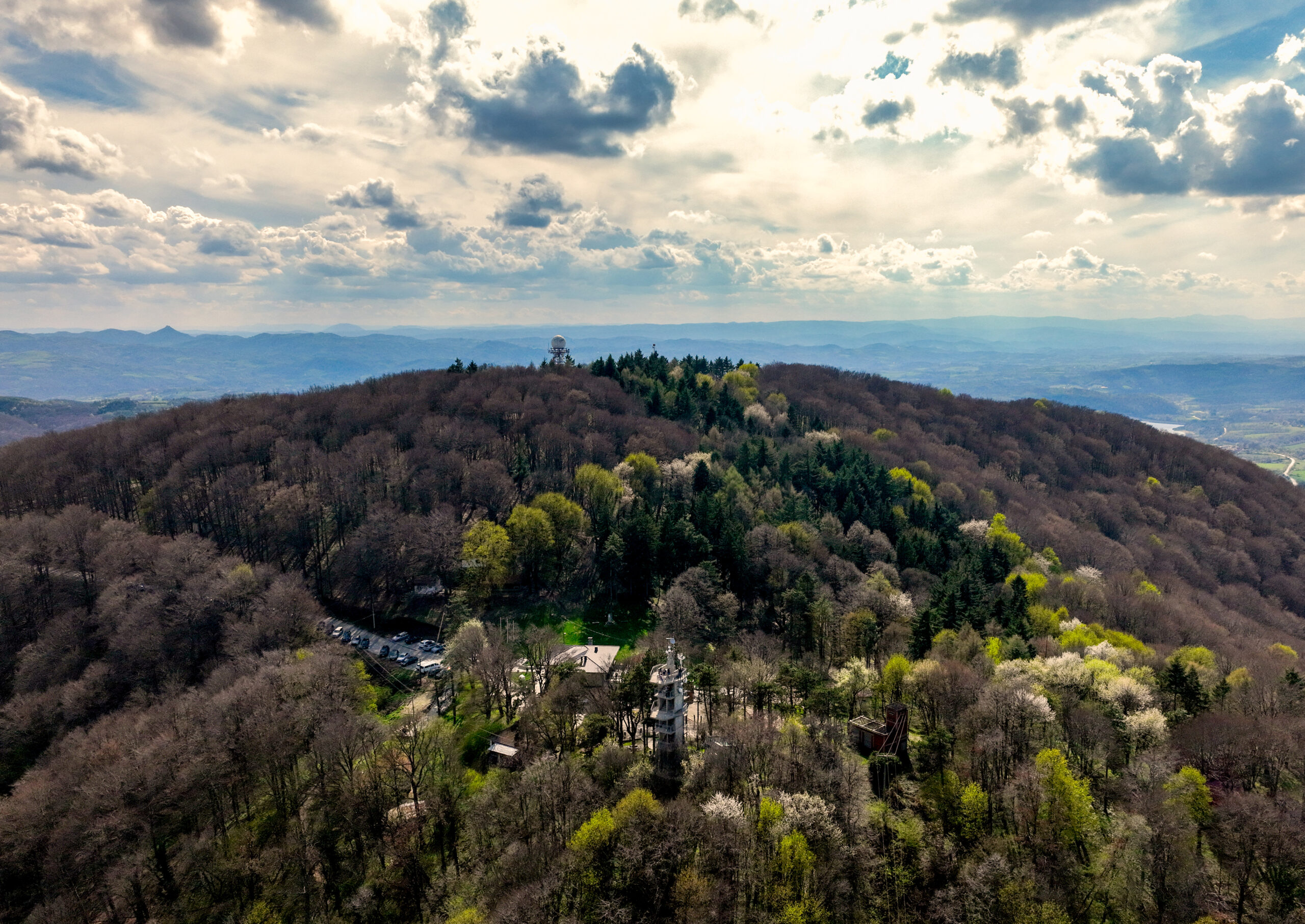 Šuma na planini Bukulja kod Aranđelovca